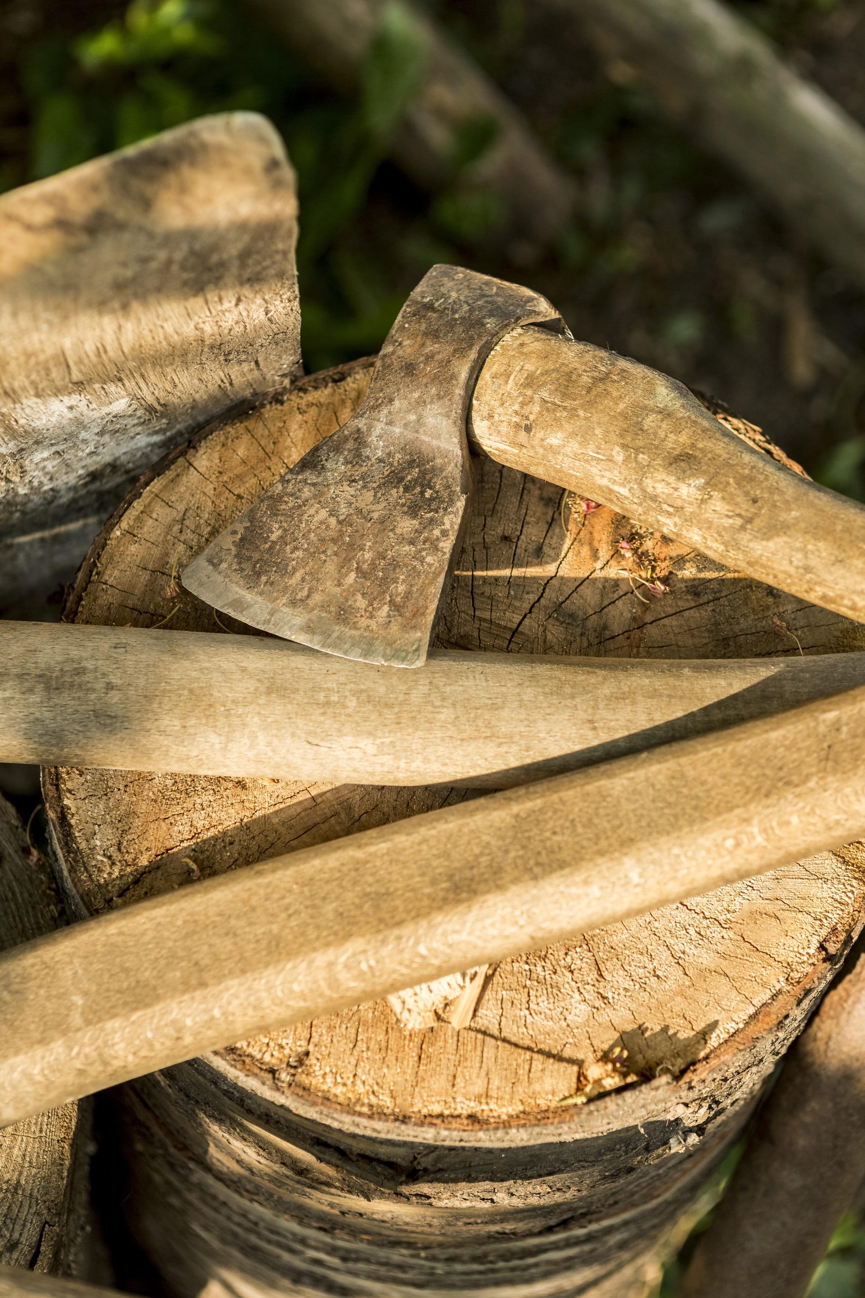 stump grinding in New Jersey