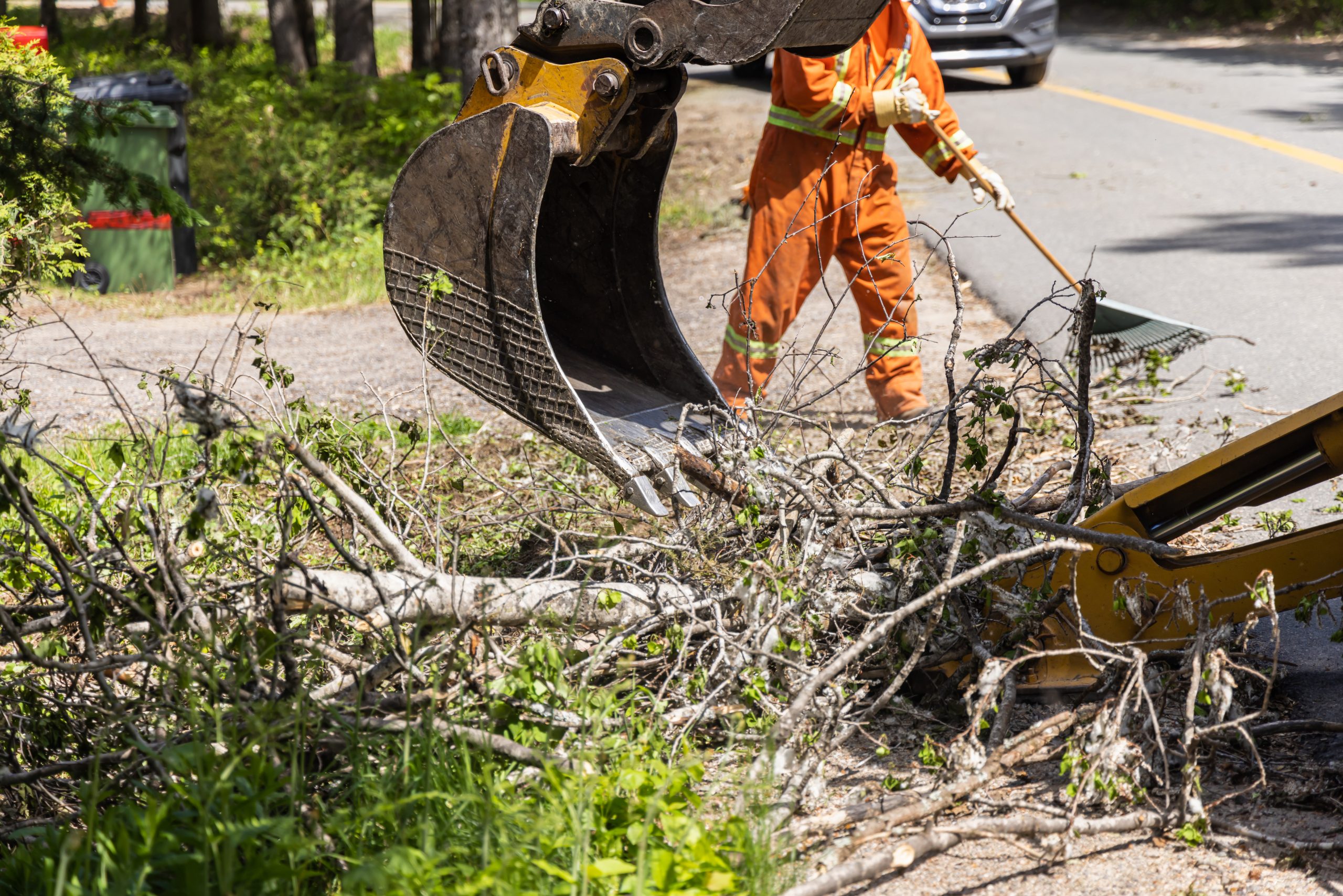 land clearing in New Jersey