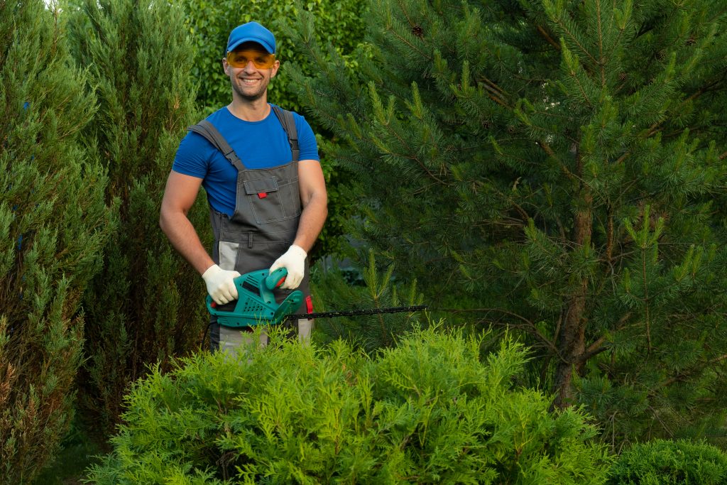 Raffy & Conrrad Tree Services & Landscaping