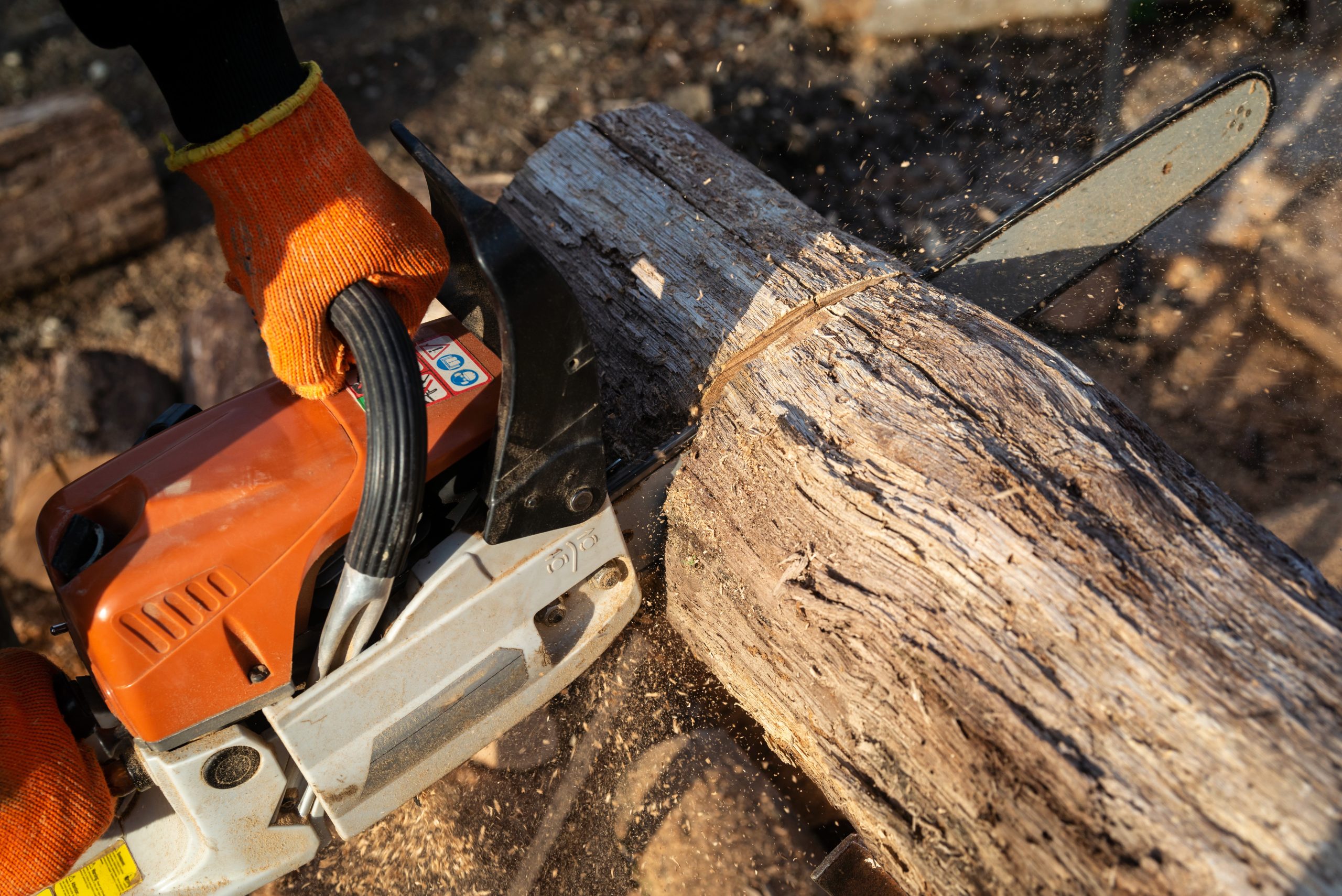 stump grinding in New Jersey